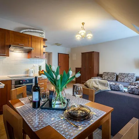 Apart-Styl Apartamenty Zakopane- Brzozowa, Centrum Miasta-2